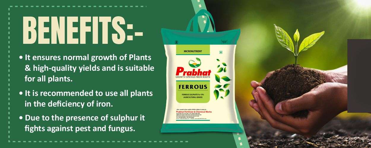 Ferrous Sulphate Website Banner (1250 x 500)