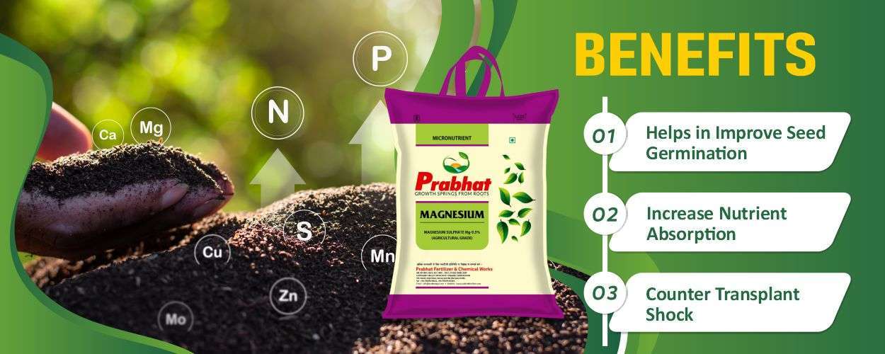 Magnesium Sulphate Website Banner (1250 x 500) Magnesium Sulphate Website Banner (1250 x 500)
