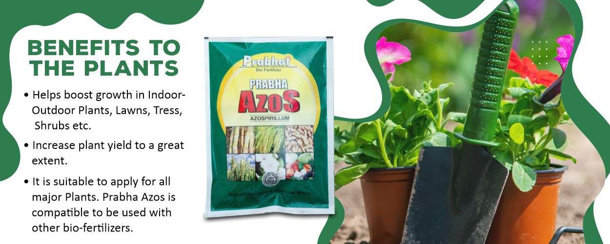 Prabha Azos Website Banner (1250 x 500) Prabha Azos Website Banner (1250 x 500)