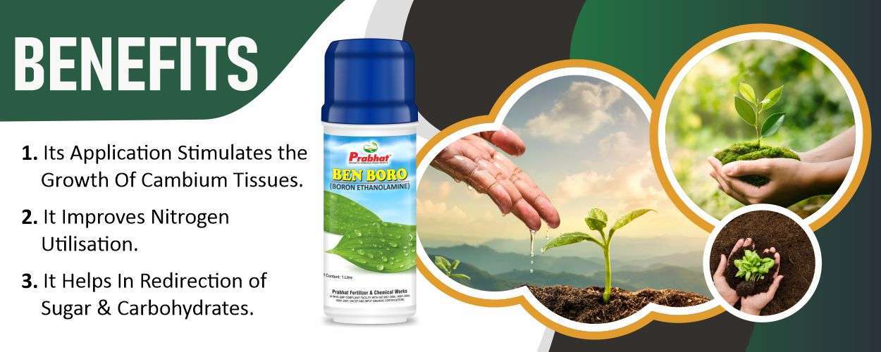 Ben Boro Website Banner (1250 x 500)