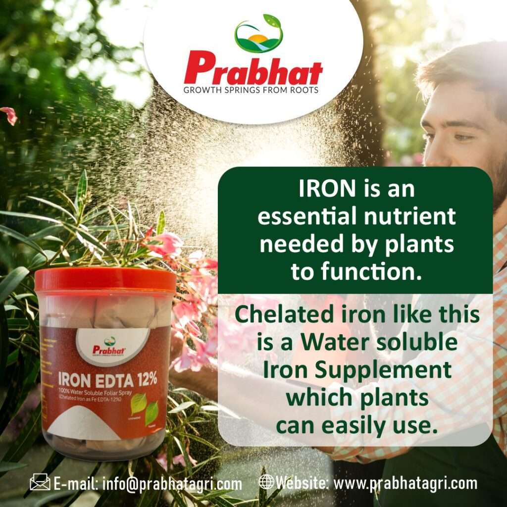 Iron Edta 12% 2