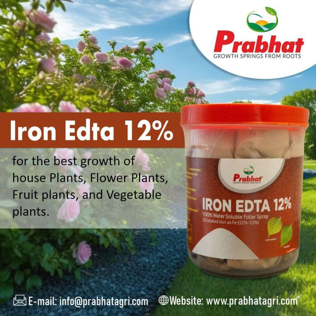 Iron Edta 12% 6