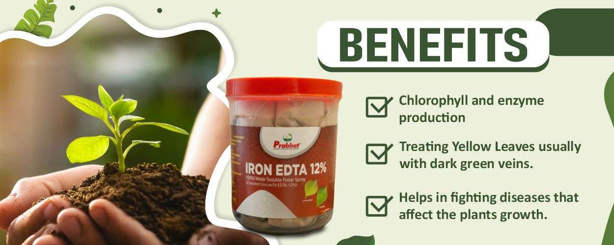 Iron edta 12% Website Banner (1250 x 500) Iron edta 12% Website Banner (1250 x 500)