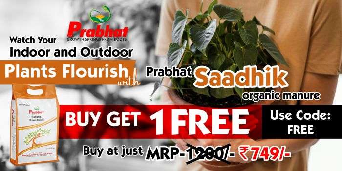 Ad Creative Saadhik organic offer 25-09-2023 (700 x 350)