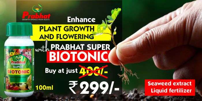 Ad Creative Super Biotonic offer 23-09-2023 (700 x 350)