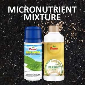 micronutrient